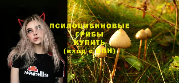 сатива Алзамай