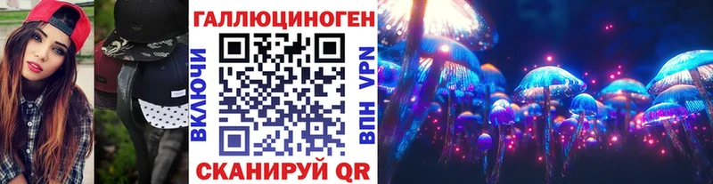 где продают Ленинск Псилоцибиновые грибы Psilocybine cubensis